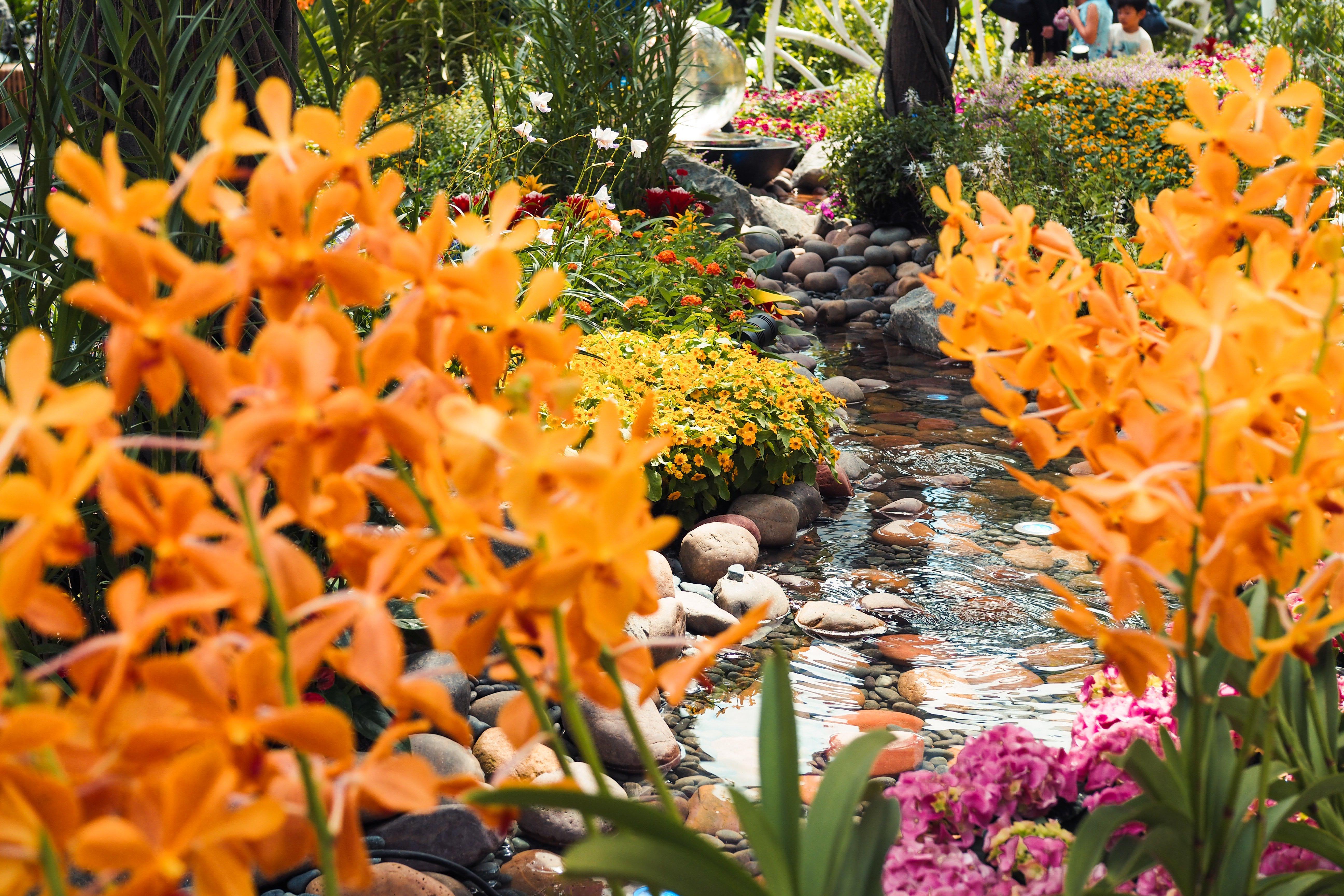 Crowne Plaza Changi Airport By Ihg Singapore Exterior foto The photo depicts a vibrant garden setting filled with an array of colorful flowers and greenery. In the foreground, there are striking orange flowers, which are surrounded by lush foliage. A winding stream can be seen, with smooth stones lining its 