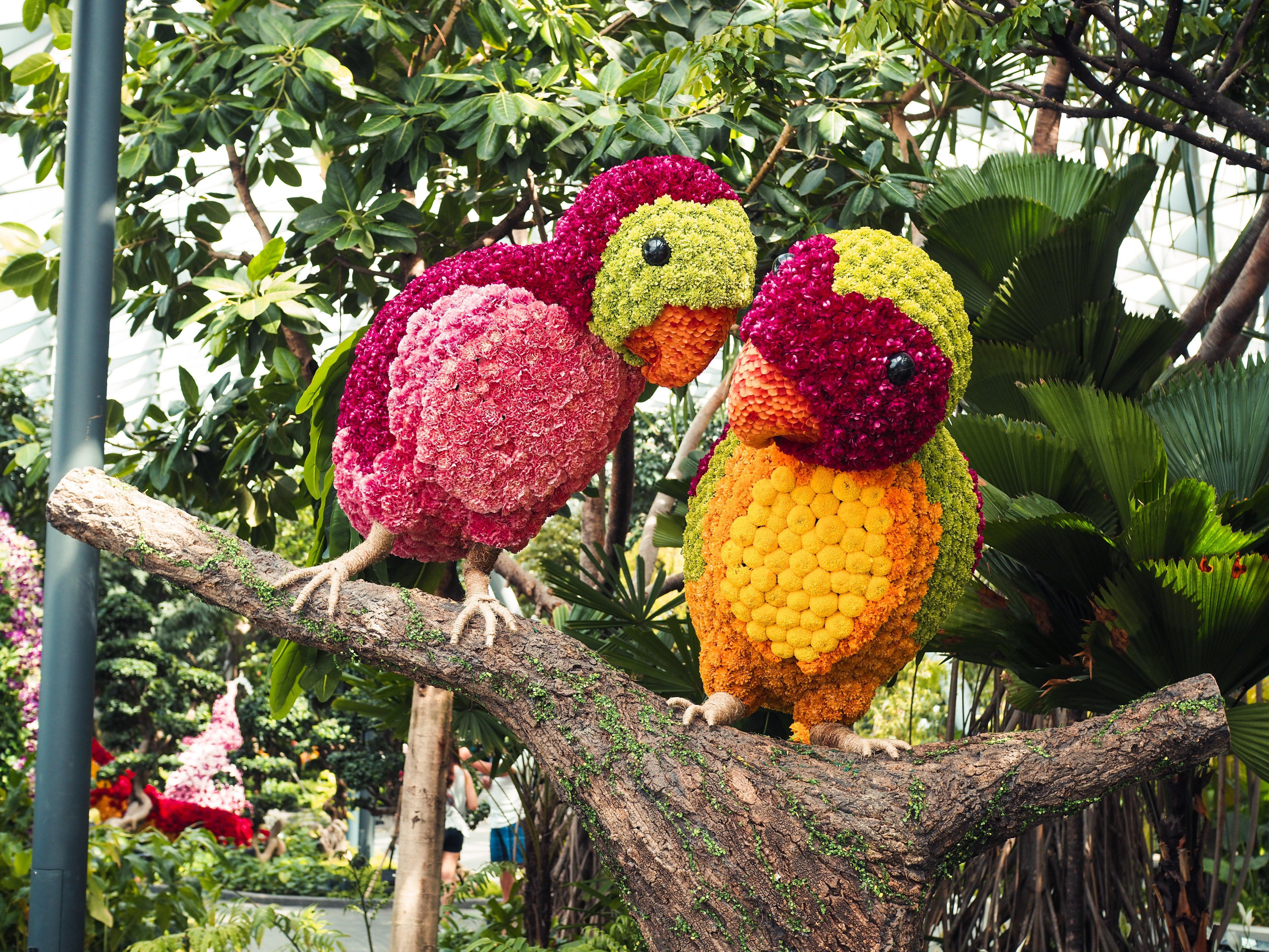 Crowne Plaza Changi Airport By Ihg Singapore Exterior foto The photo shows two vibrant and colorful bird sculptures made from various flowers. They are perched on a branch, surrounded by lush green foliage. The birds feature bright pink, green, and orange hues, resembling tropical birds. The artistic arrange