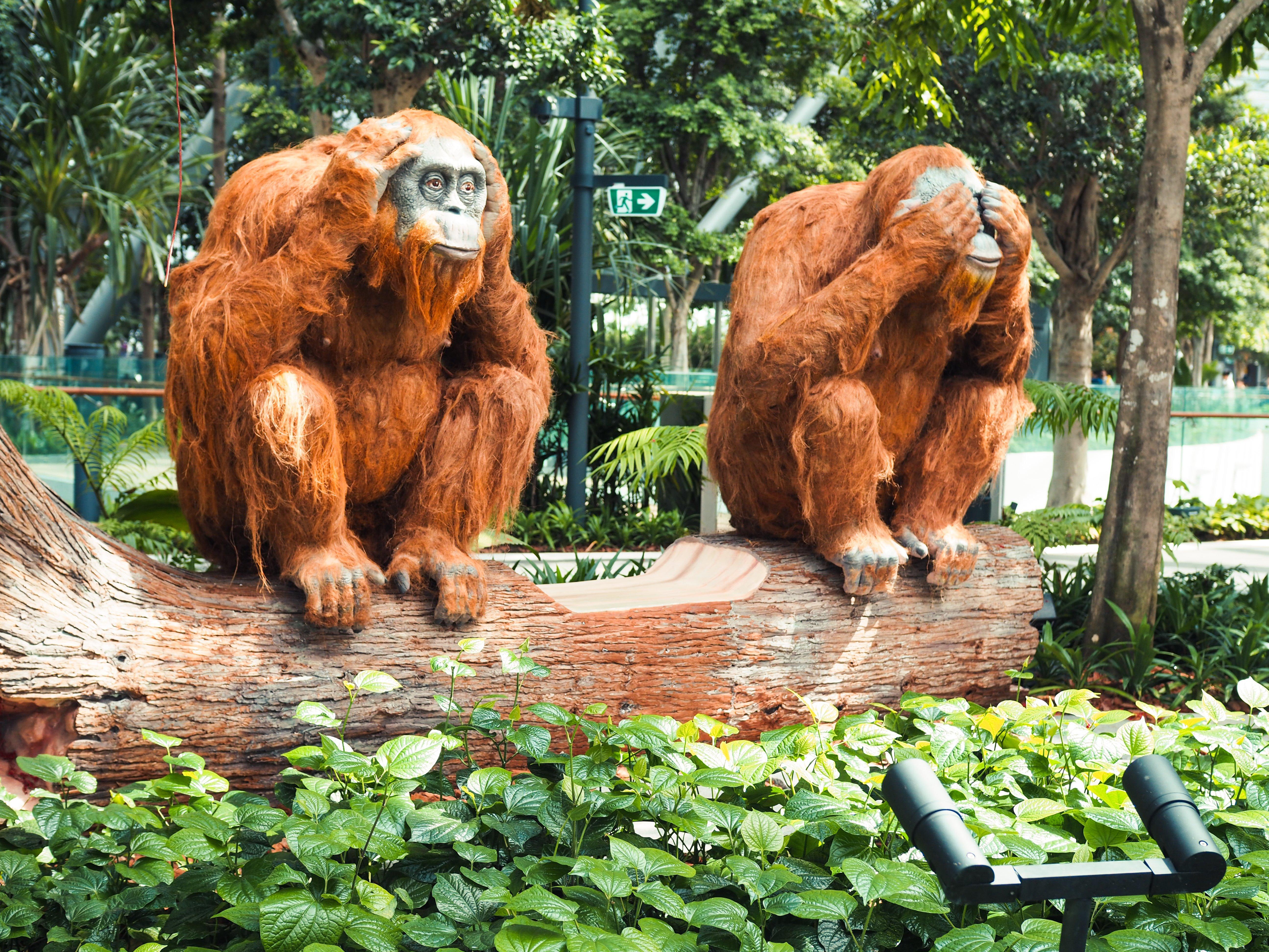 Crowne Plaza Changi Airport By Ihg Singapore Exterior foto The photo shows two orangutans seated on a log in a lush green environment. One orangutan has its hands over its eyes, while the other has its hands covering its mouth. The scene is surrounded by vibrant foliage, creating a natural and serene backdro