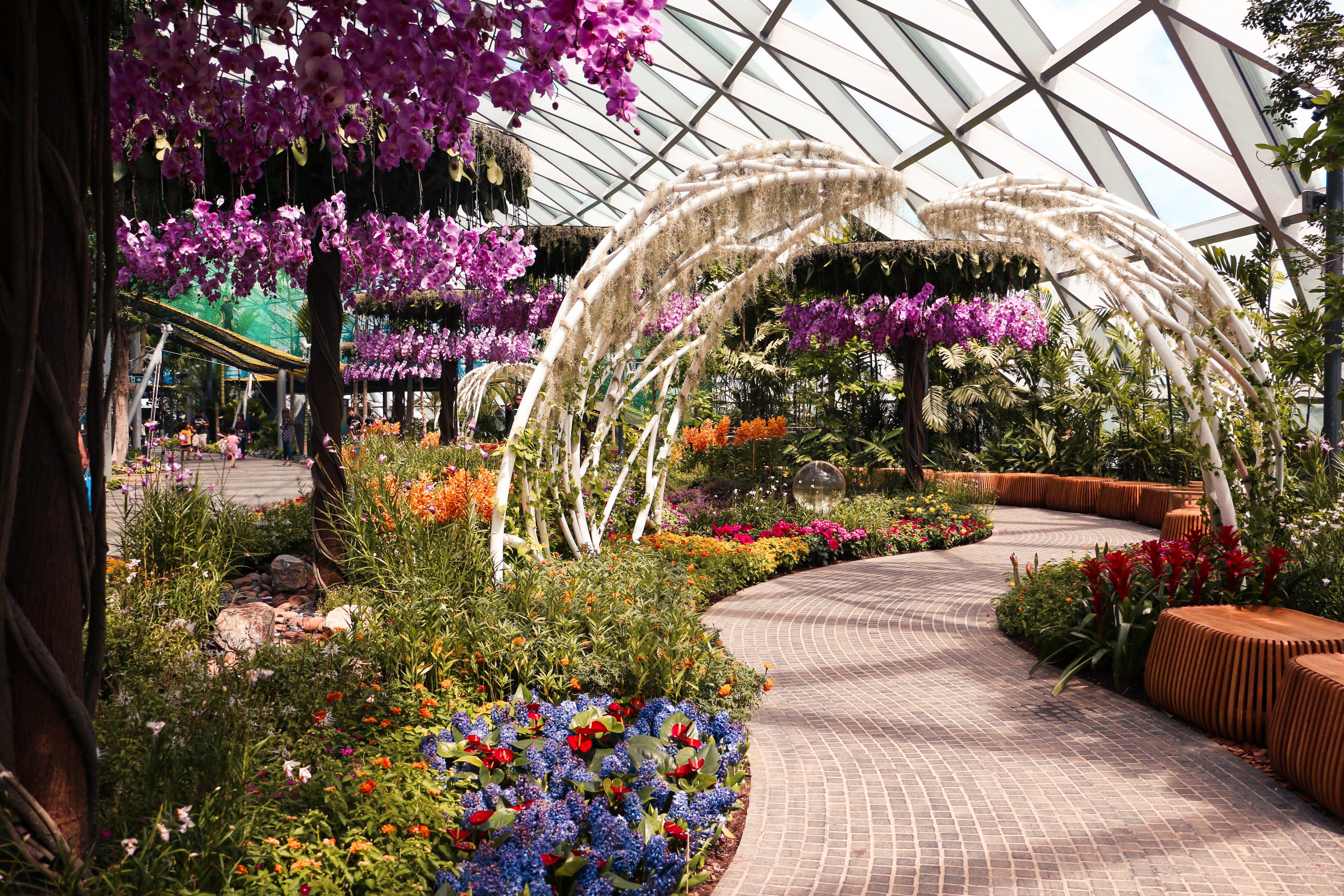 Crowne Plaza Changi Airport By Ihg Singapore Exterior foto The photo depicts a beautiful indoor garden featuring vibrant flowers and lush greenery. The scene includes colorful floral arrangements, notably with purple orchids hanging from the ceiling. A winding path made of stone leads through the garden, fla